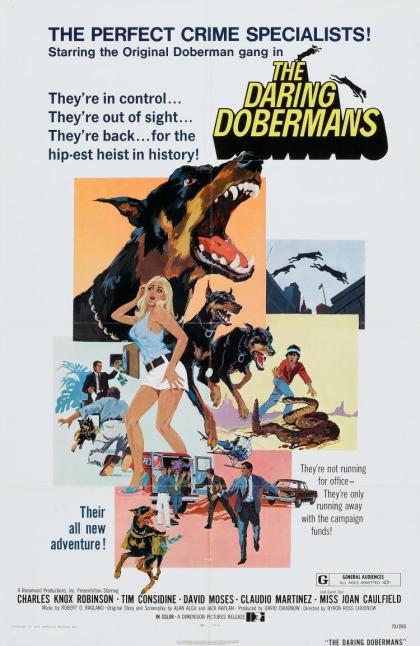 Daring Dobermans