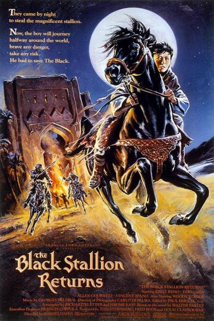 Black Stallion Returns